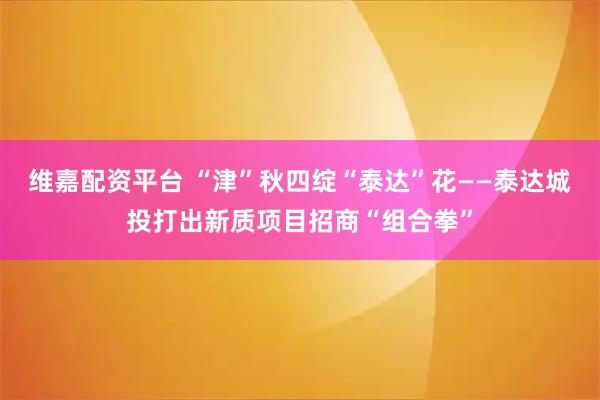 维嘉配资平台 “津”秋四绽“泰达”花——泰达城投打出新质项目招商“组合拳”