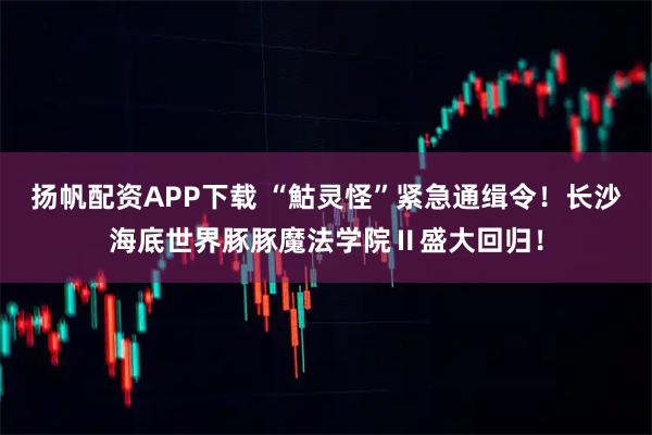 扬帆配资APP下载 “鮕灵怪”紧急通缉令！长沙海底世界豚豚魔法学院Ⅱ盛大回归！