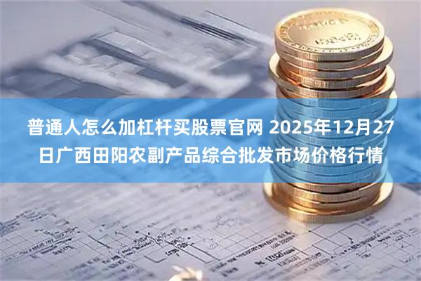 普通人怎么加杠杆买股票官网 2025年12月27日广西田阳农副产品综合批发市场价格行情